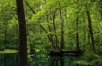 Stajnia Smaku - Photo 18