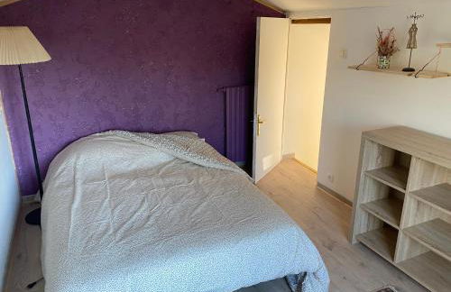 Entre Bordeaux et l'océan - Foto 13