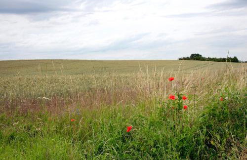 Haus Meistereck Melzow - Foto 25