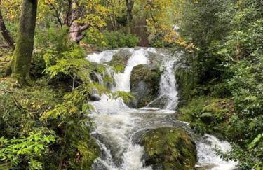 Maggie's Croft Cottages 4 Star Tourism NI - Foto 25