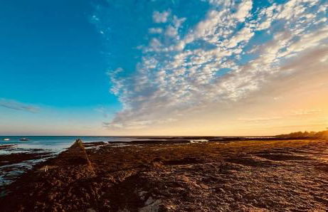 Charming fisherman's cottage in Ars en Ré - Foto 24