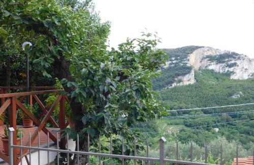 Foglie di Quercia - Foto 10