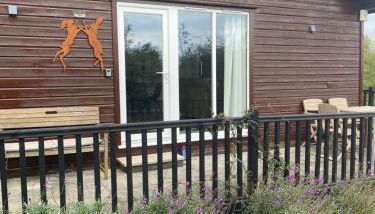 Cosy north Devon lodge within Hartland forest - Foto 5