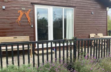 Cosy north Devon lodge within Hartland forest - Foto 5