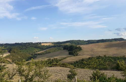 Predio Potantino - Foto 26