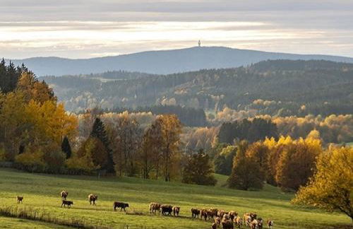 Ferienwohnungen Fichtelgrün - Foto 57