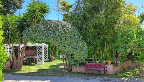 Pier Delle Vigne B&B - Foto 4, Garden view