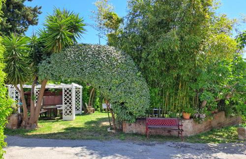 Pier Delle Vigne B&B - Foto 4