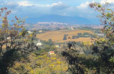 InCentro Boutique Apartments - Foto 32