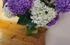 The Garden Room - Foto 23