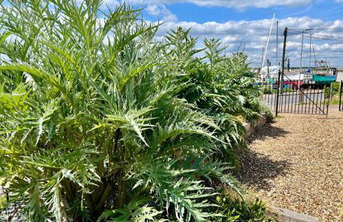 Cosy Coastal 2-Bedroom Cottage with Hot Tub and Log Burner - Foto 20