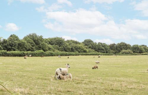 Aunty Junes Cottage - Foto 41