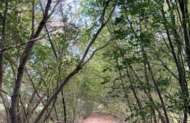 gemütliches Holzhaus am See - Foto 23