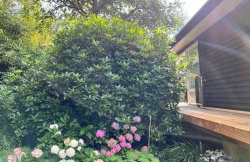 Paradiso Worpswede - Foto 74