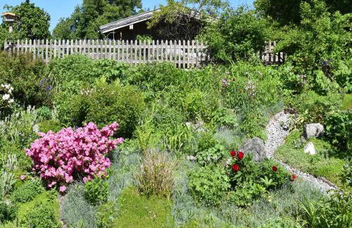 Ferienhof Schauer - Foto 6