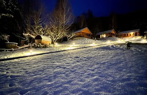 Domki Habzówka - Foto 44