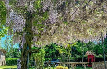 Madeleine: Luxury Villa in Italy - Foto 41