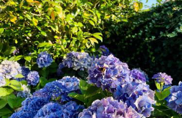 KerDesAmis - Tolles Ferienhaus in Strandnähe mit Sonnenterrasse, Boulebahn und großem Garten - Foto 6