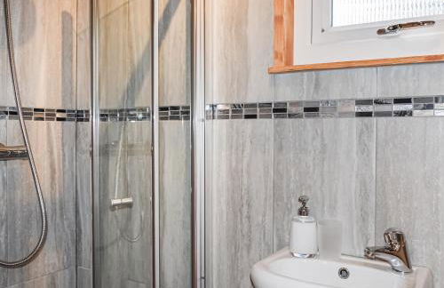 Badgers - Uk46750 - Foto 15