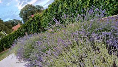 Kuća za odmor Silvano - Foto 3