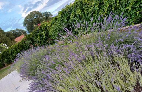 Kuća za odmor Silvano - Foto 3