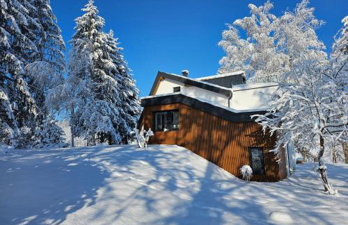 Kuća za odmor Šumska Vila - Foto 63