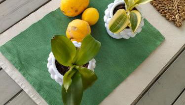 Agriturismo Casebianche - Foto 3