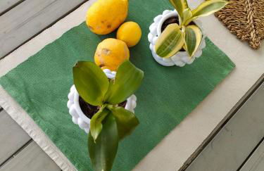 Agriturismo Casebianche - Foto 3