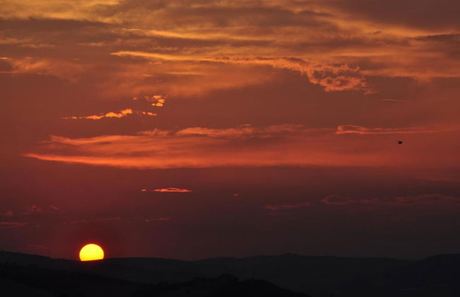 Masseria Straziuso - La Vaccariccia - Photo 23
