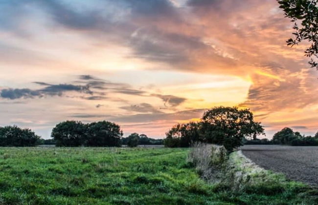 Countryside Bungalow for 4 Close to Beaches - Foto 30