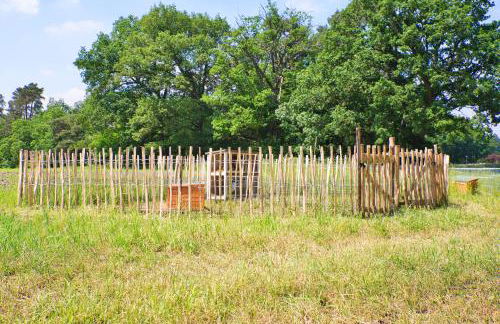 Bauernhofurlaub bei Familie Bokeloh - Foto 79