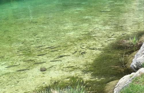 Casa Willigio - Photo 29