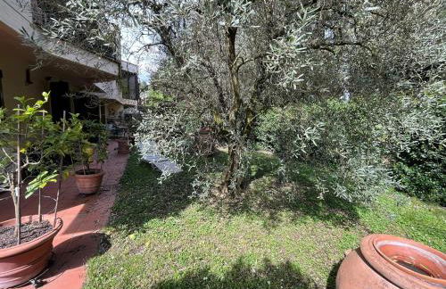 Green Garden Apartment near Florence - Foto 10