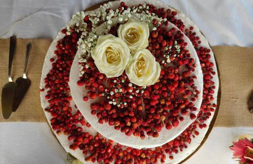 Le Case Del Merlo Turismo Rurale - Foto 110