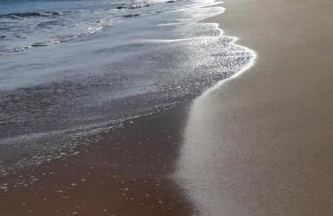 Recanto Santa Helena Iriri Santa Helena - Foto 67