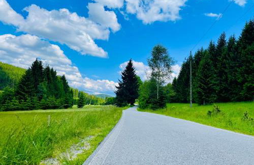 GÓRSKA CISZA - Duży, komfortowy, wyjątkowy Apartament - Foto 67