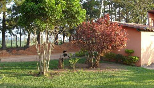 Sítio Terra Mãe - Foto 4