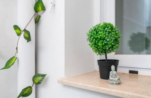 Apartamentos Serranía - Foto 6