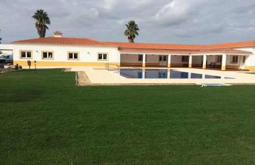 Monte das Palmeiras - Foto 24