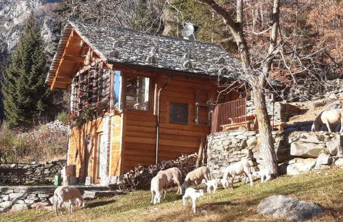 Baita del noce - Foto 20