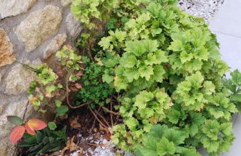 MENTOROS VILLAS - Foto 70