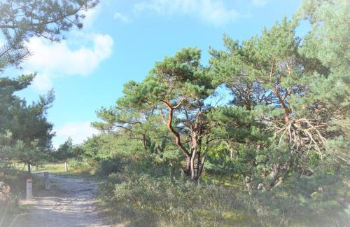 App 134Haus 3 - Foto 13