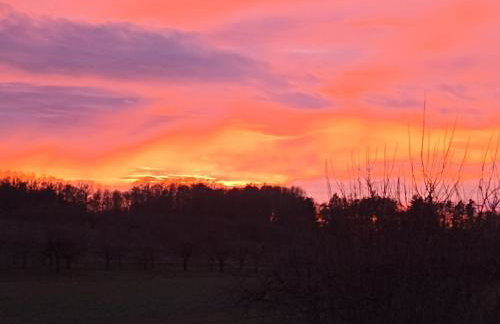 Ferienwohnung NatuRaum - Photo 28