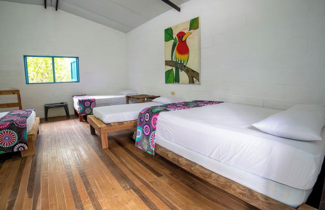 La Posada De Las Aves - Photo 10