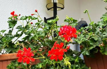 Apartament Sant Feliu de Guíxols downtown - Foto 9