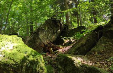 Pieśń Poranka Domek - Foto 35