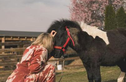Agroturystyka Alpakolandia Góra Szybowcowa - Foto 15