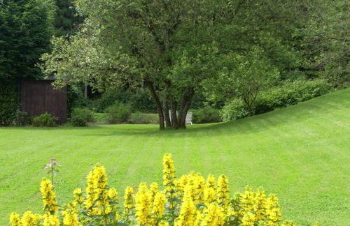 Heidehof Hellenthal - Foto 9