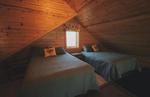 Denali Wild Stay - Bear Cabin with Hot Tub and Free Wifi, Private, sleep 6 - Foto 11