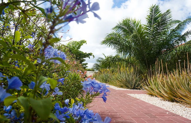 ABC Resort Curaçao - Foto 58